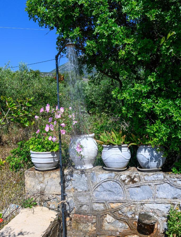 Μαϊστράλι Apartment Kotronion  Exterior photo